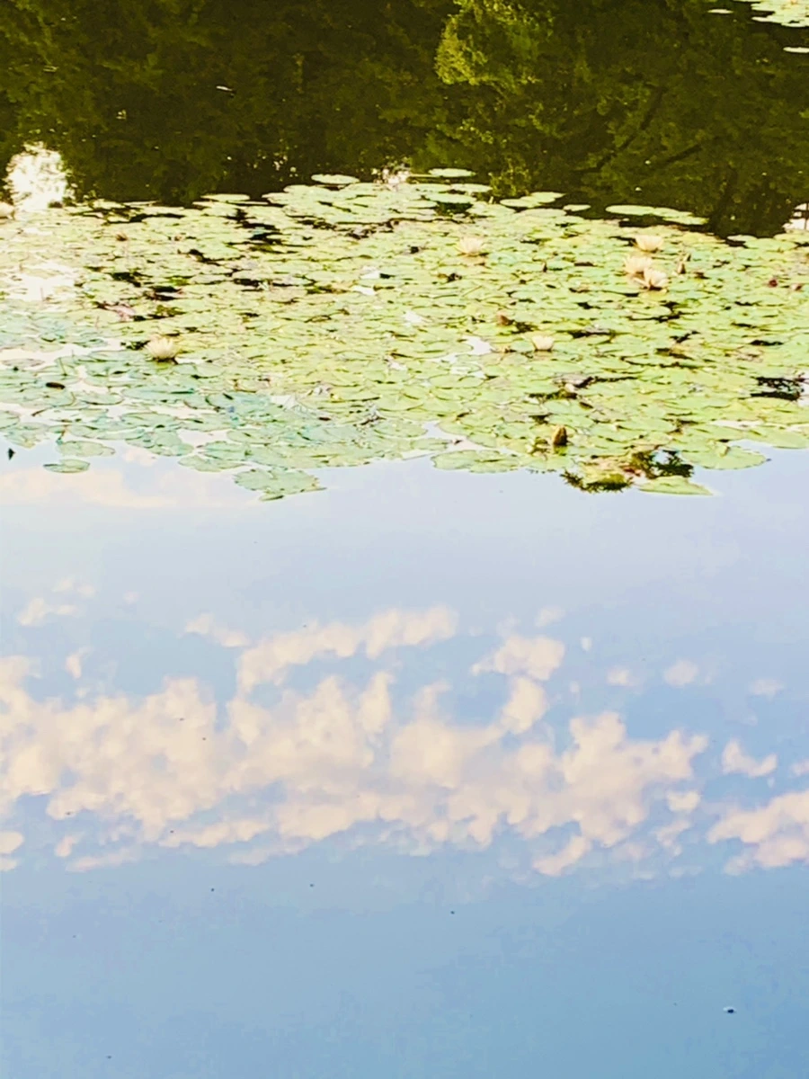 IMG_0753.jpg?type=w966