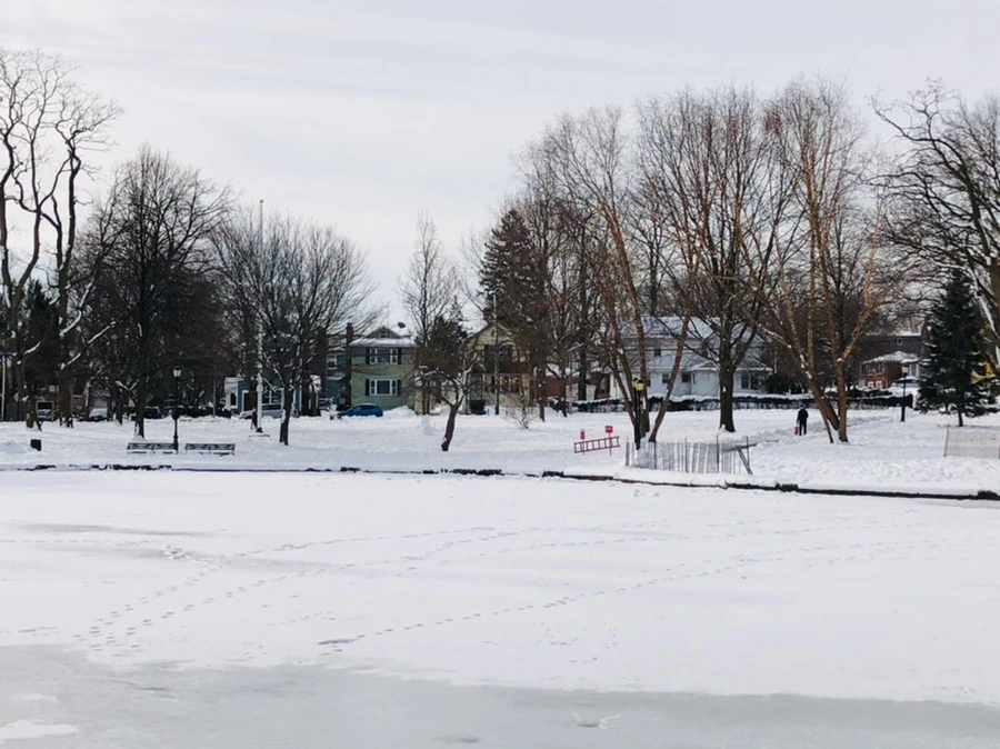 IMG_1695.jpg?type=w966