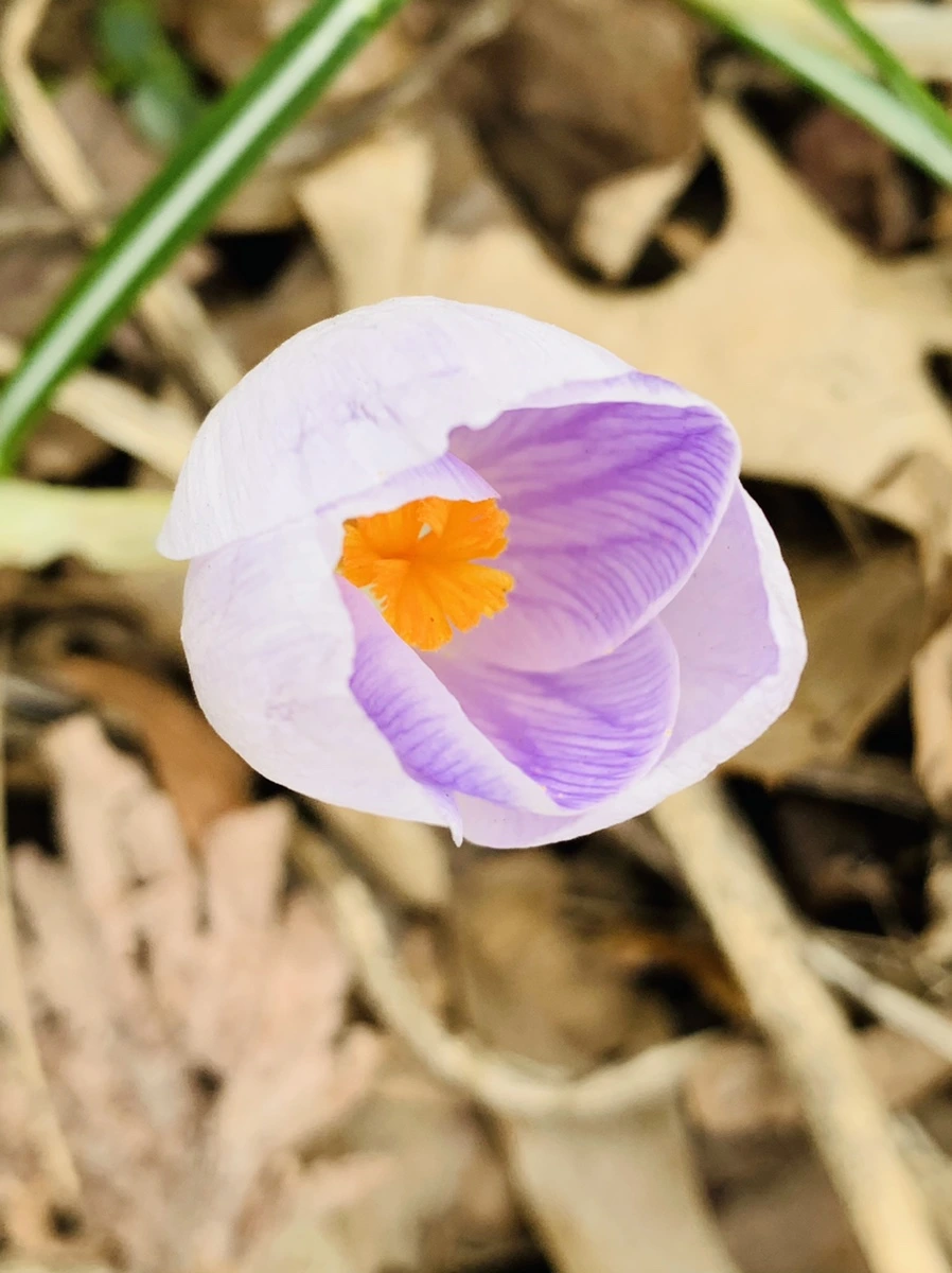 IMG_3518.jpg?type=w966