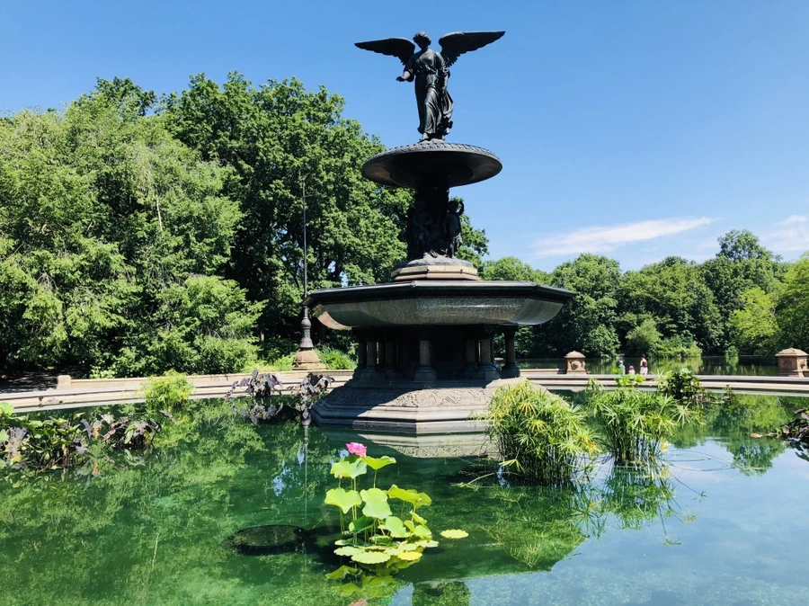 IMG_1085.jpg?type=w966