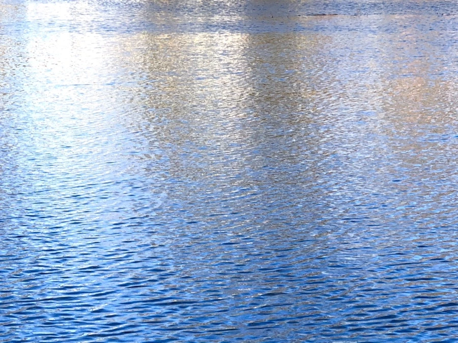 IMG_4048.jpg?type=w966