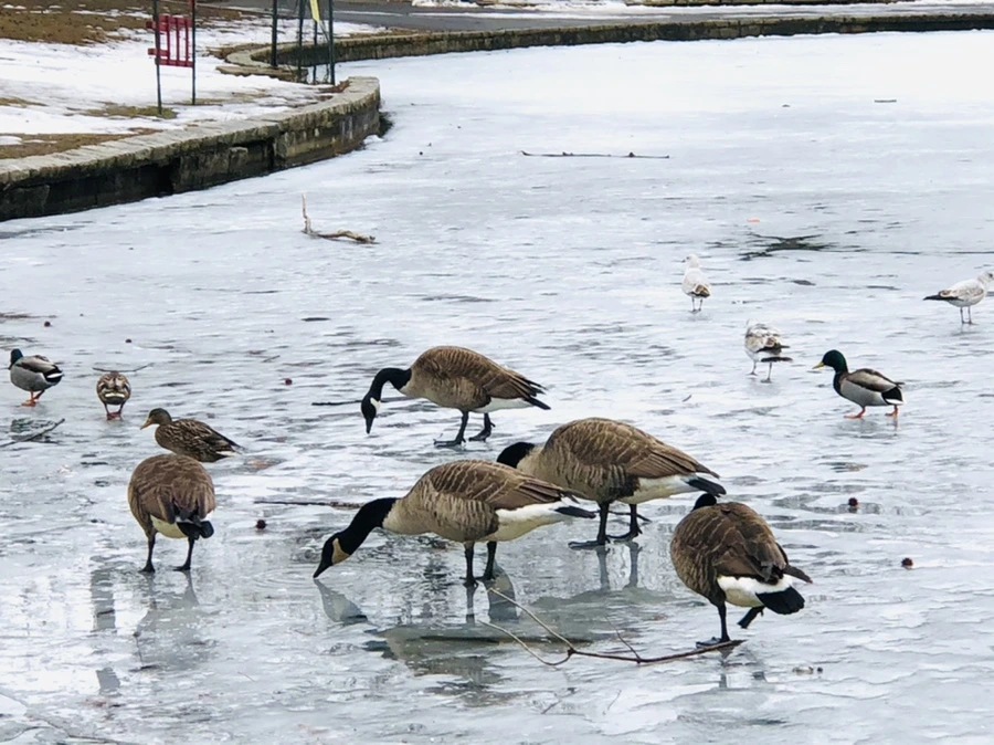 IMG_6188.jpg?type=w966