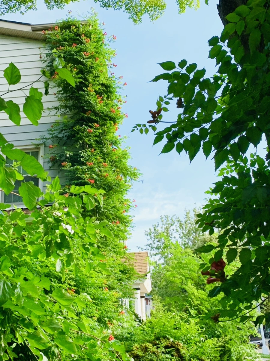 IMG_5716.jpg?type=w966