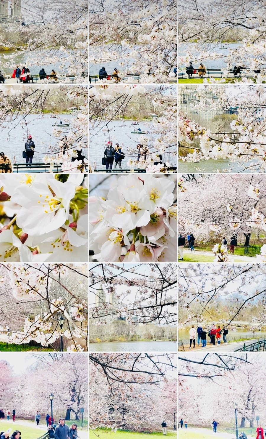 IMG_8986.jpg?type=w966