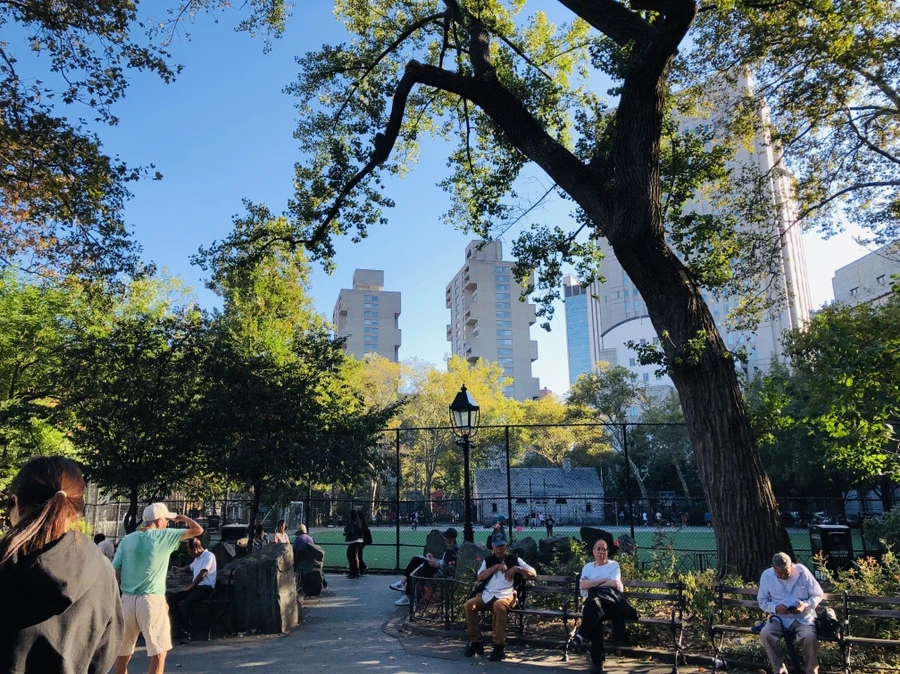 IMG_0584.jpg?type=w966