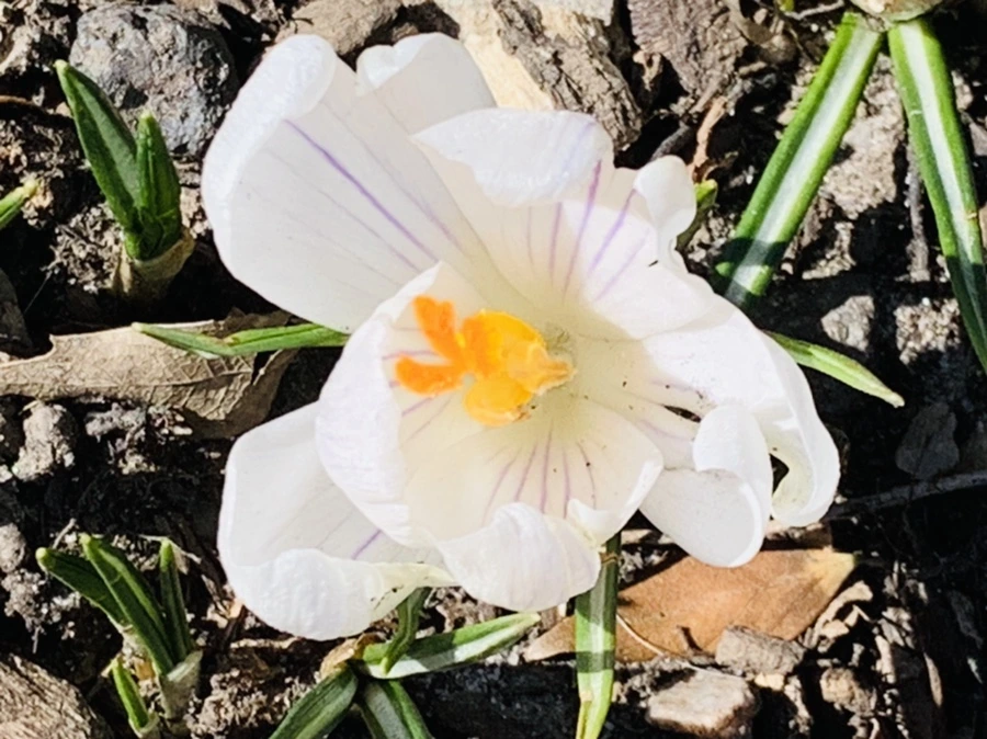 IMG_0734.jpg?type=w966