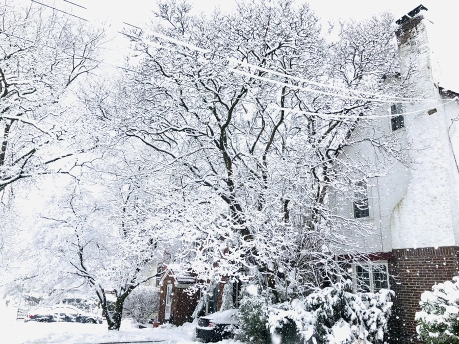 IMG_0961.jpg?type=w966