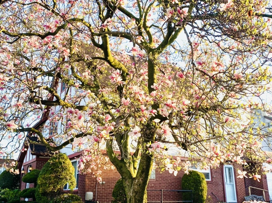 IMG_2431.jpg?type=w966