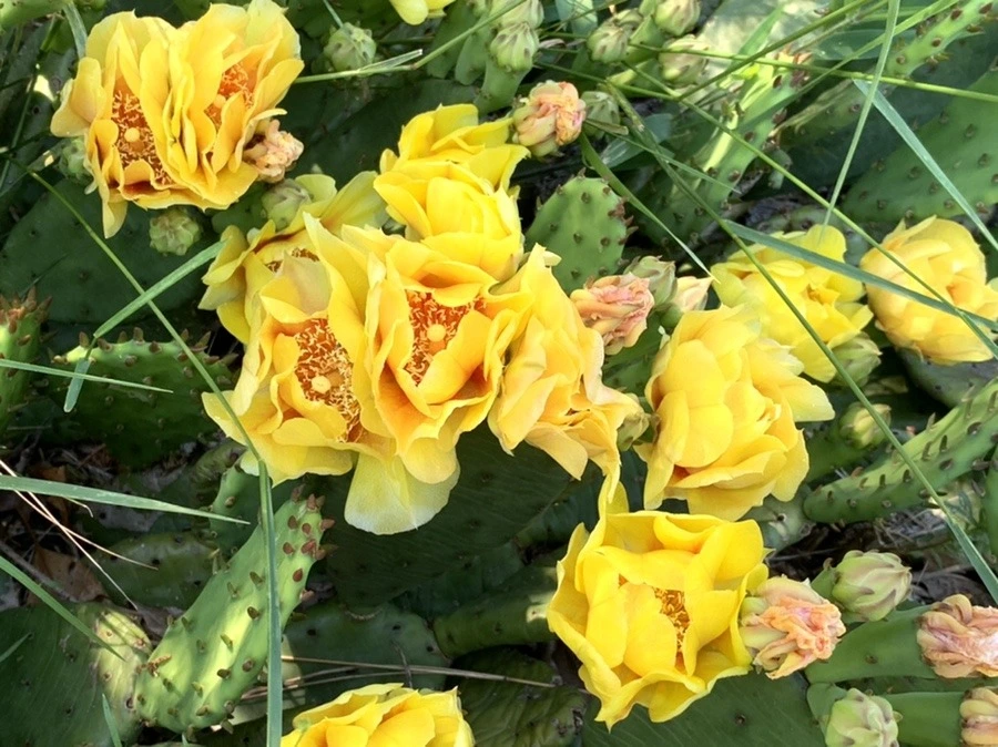 DRUfg1Ws5JHZnE5Sb49qtc_GMzE