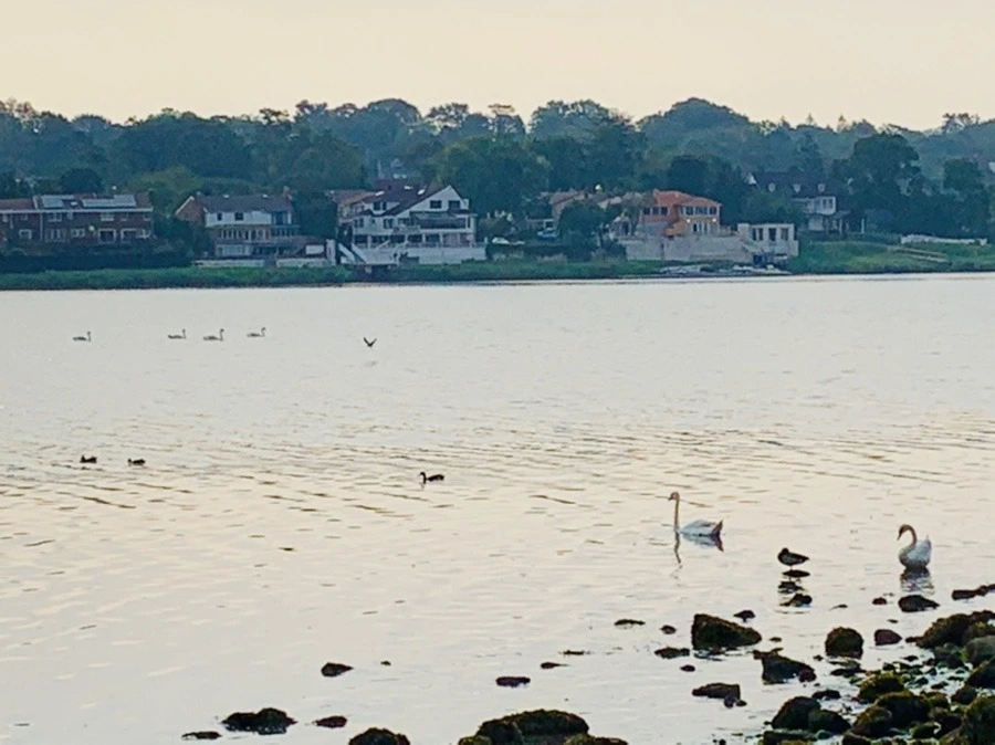 Mmqj3BW4MlS6BH2ukEjbZe0b39o