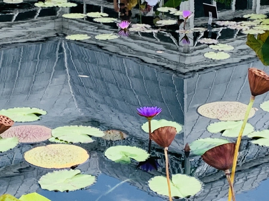 IMG_9103.jpg?type=w966