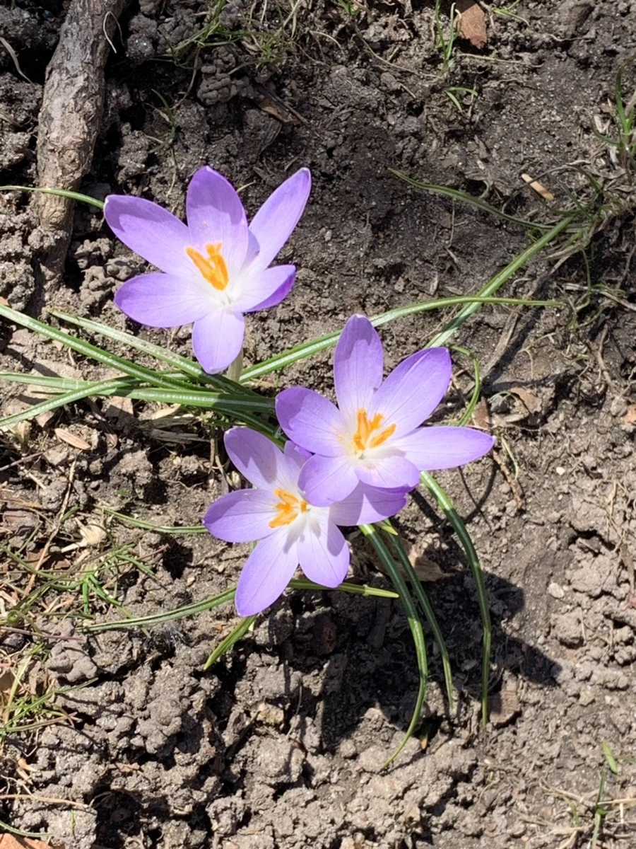 IMG_9184.jpg?type=w966