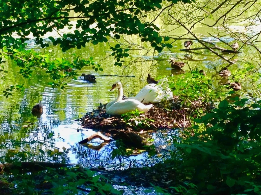 IMG_0002.jpg?type=w1