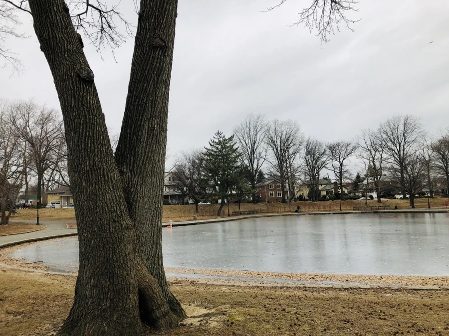 IMG_9063.jpg?type=w966