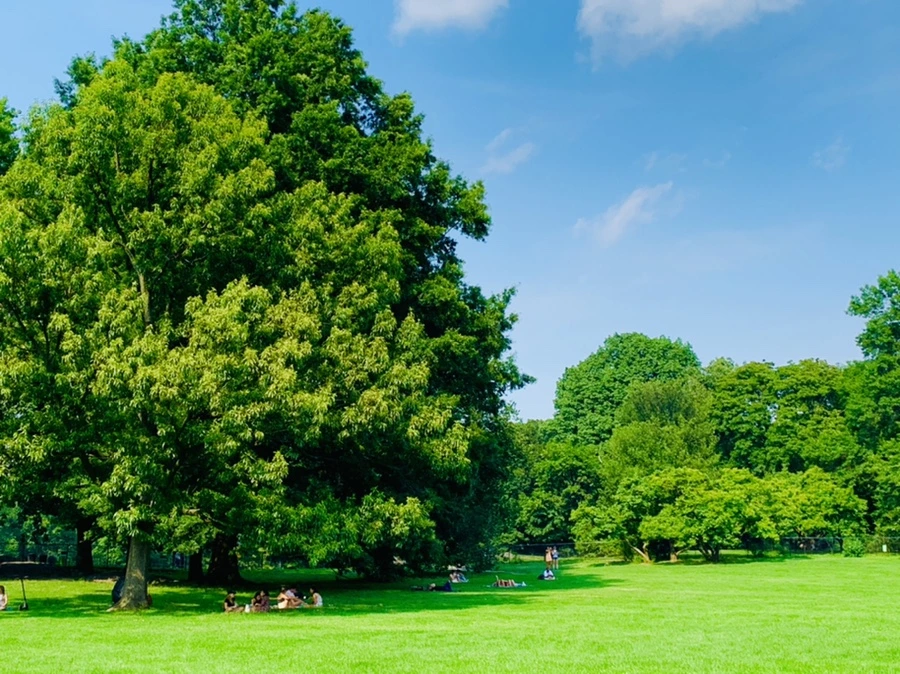 IMG_1691.jpg?type=w966