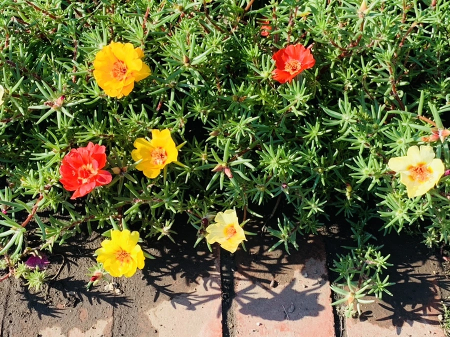 IMG_8408.jpg?type=w966