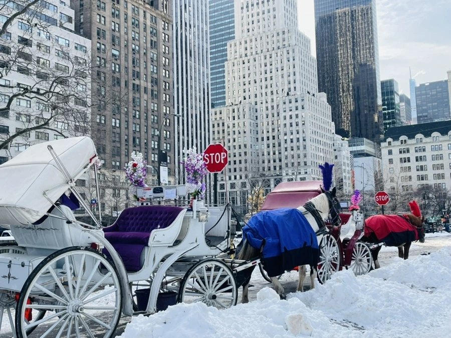 IMG_0960.jpg?type=w966