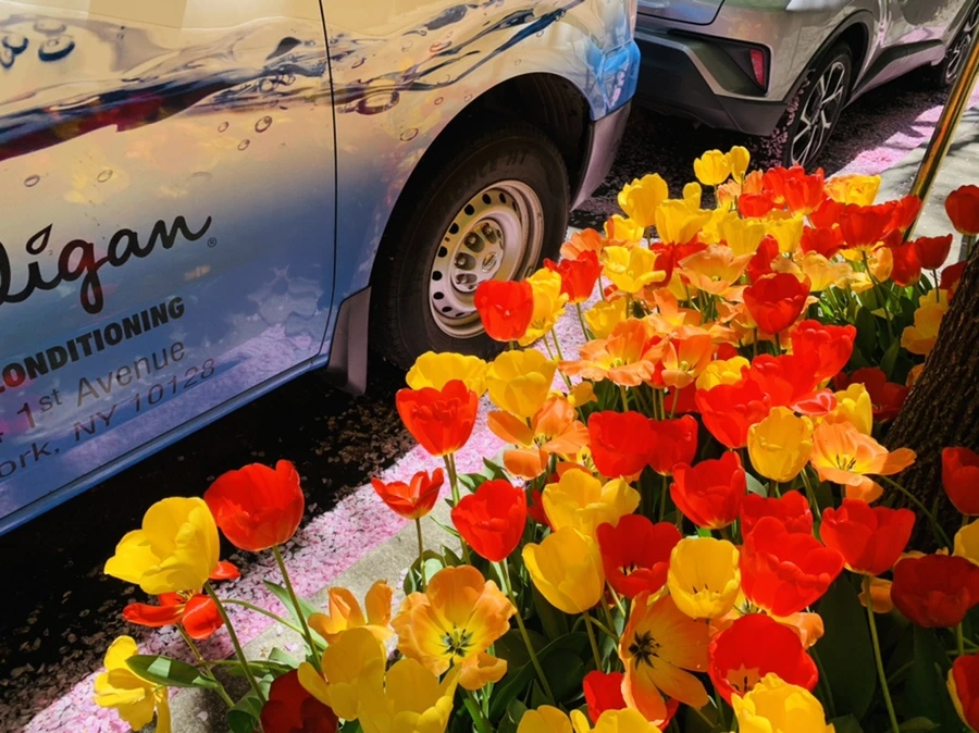 IMG_5664.jpg?type=w966