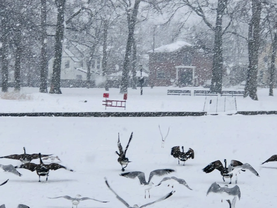 IMG_4218.jpg?type=w966