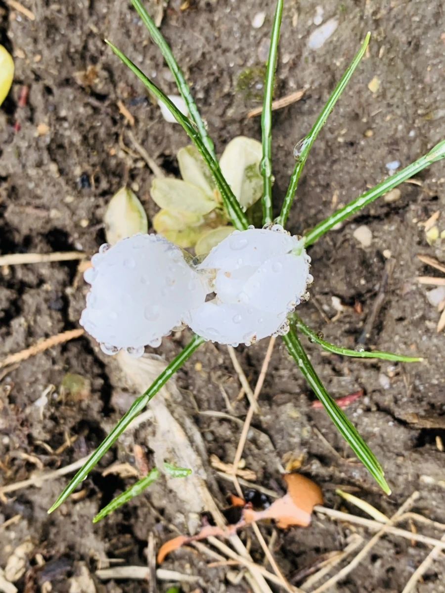 IMG_2014.jpg?type=w966