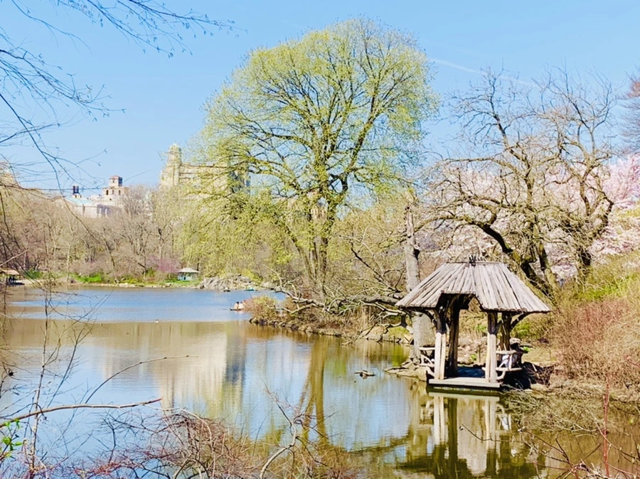 IMG_9007.jpg?type=w966