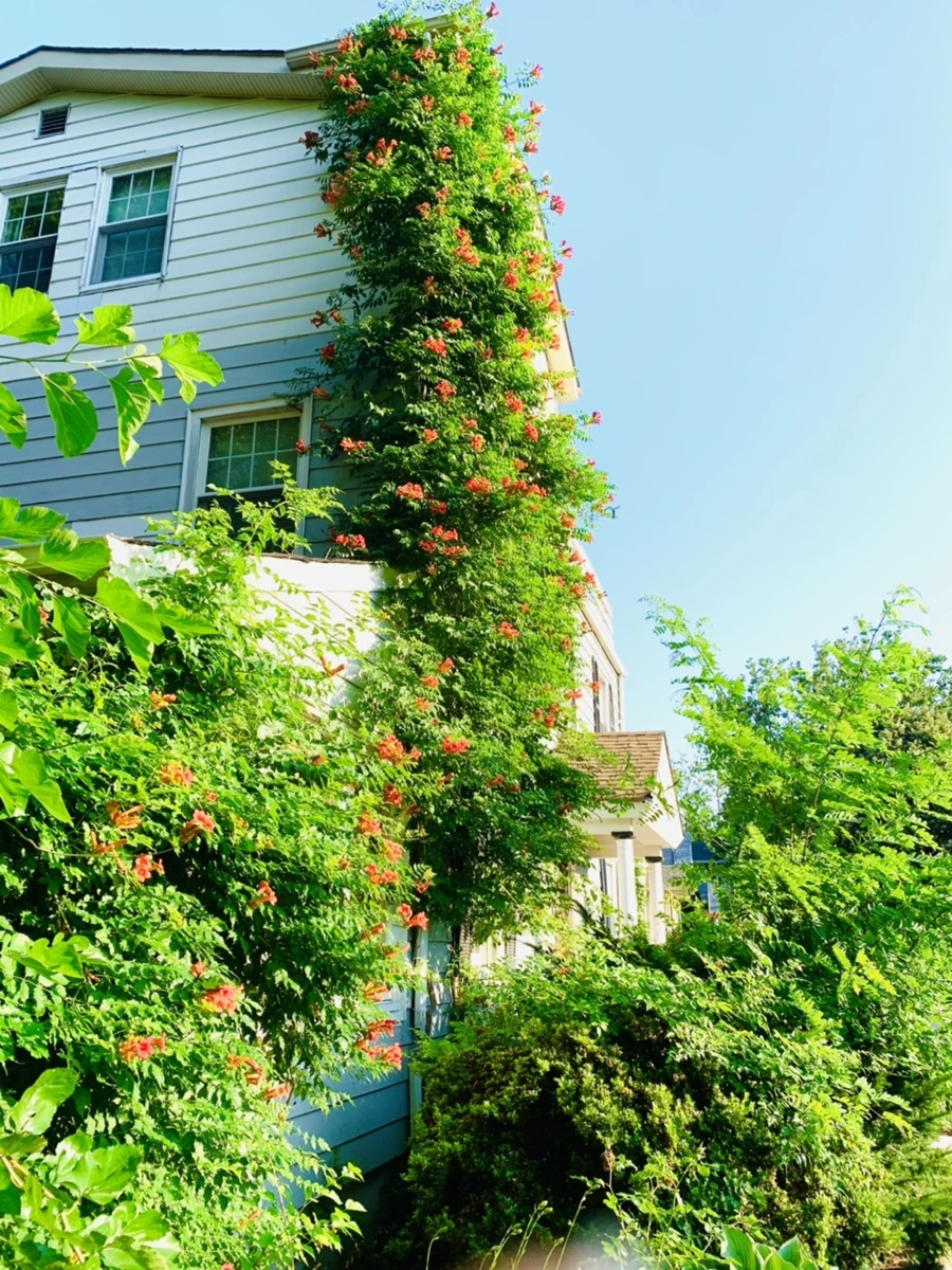 IMG_8242.jpg?type=w966