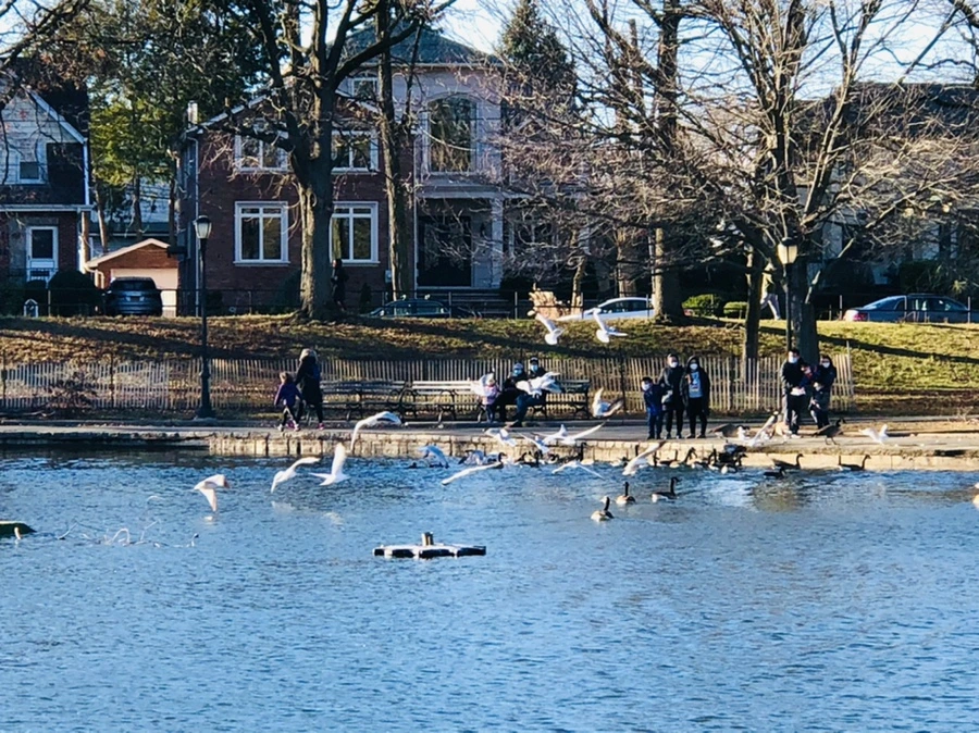 IMG_9255.jpg?type=w966