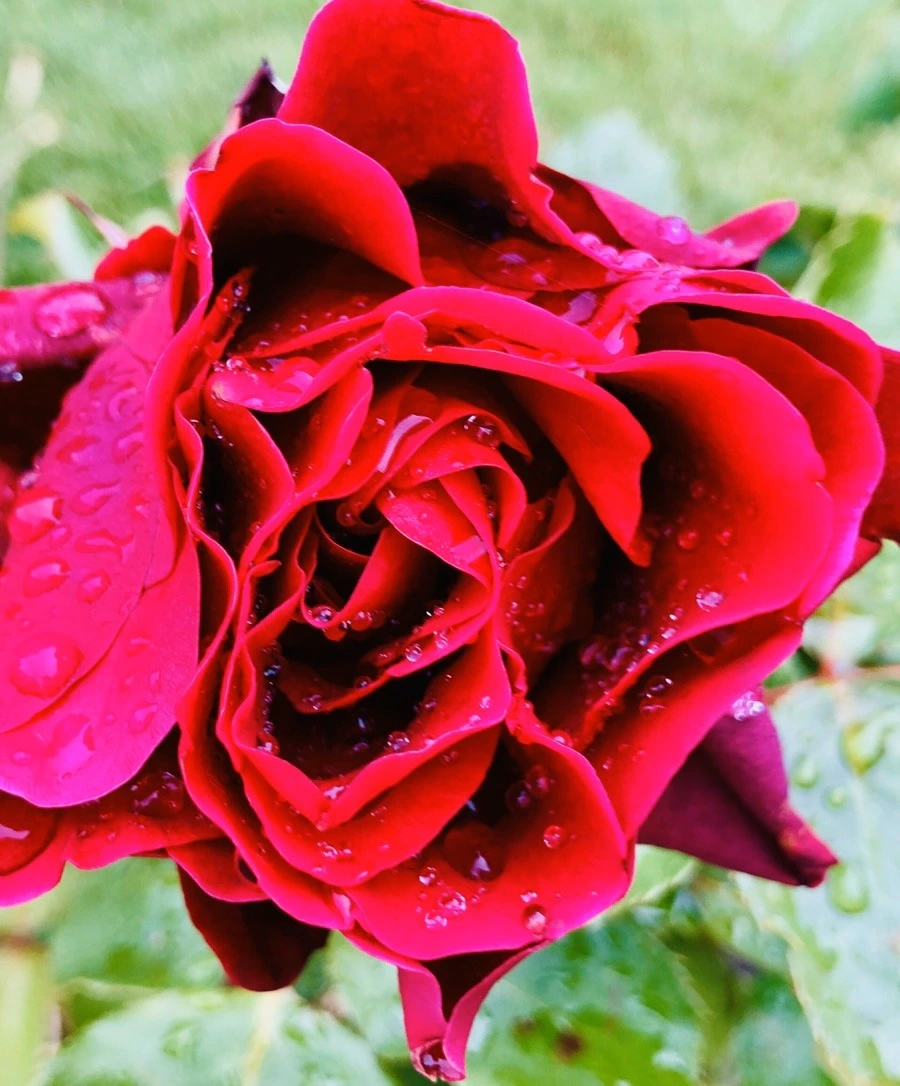 Y6GmJLRRTgDyKit7NnZTGXQvZnk