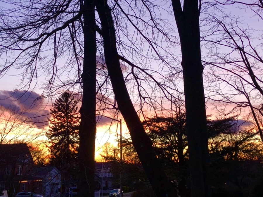 IMG_4609.jpg?type=w966