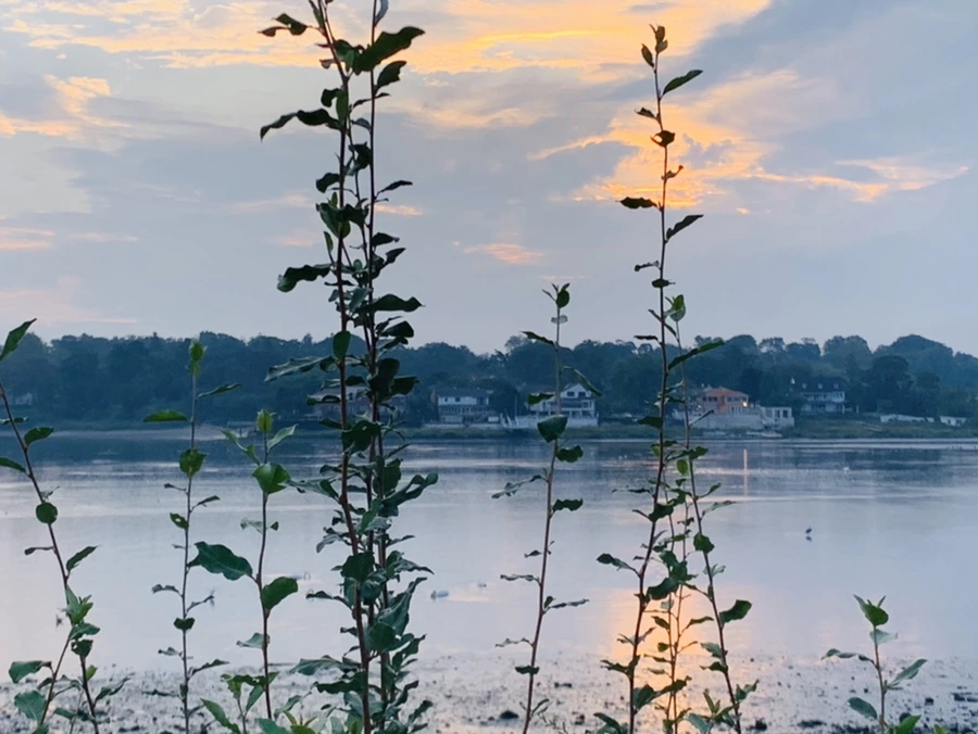 IMG_8187.jpg?type=w966