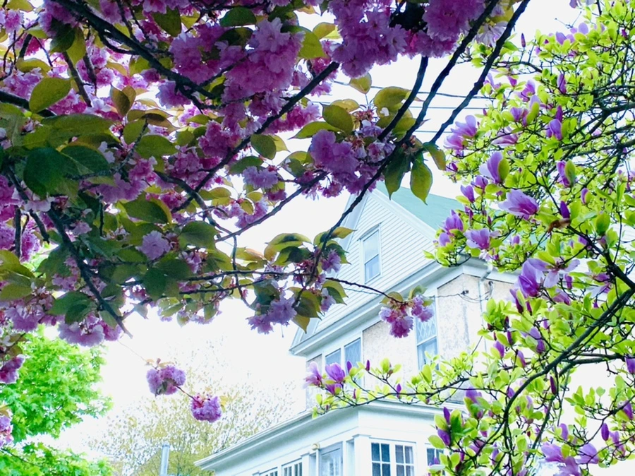 IMG_7519.jpg?type=w966