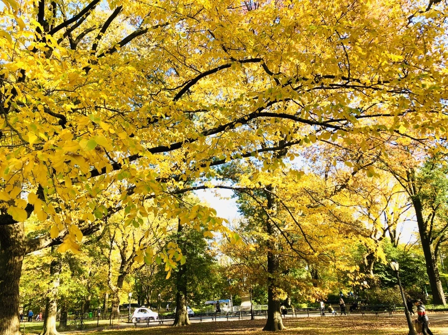 IMG_3449.jpg?type=w966