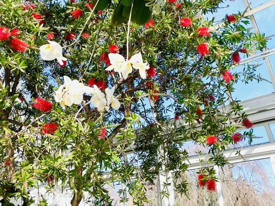 IMG_6501.jpg?type=w966