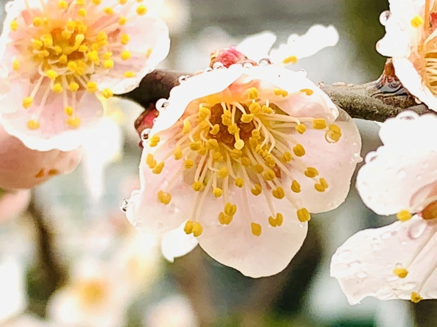 IMG_1964.jpg?type=w966