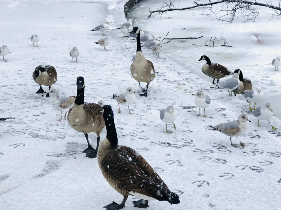 IMG_4186.jpg?type=w966