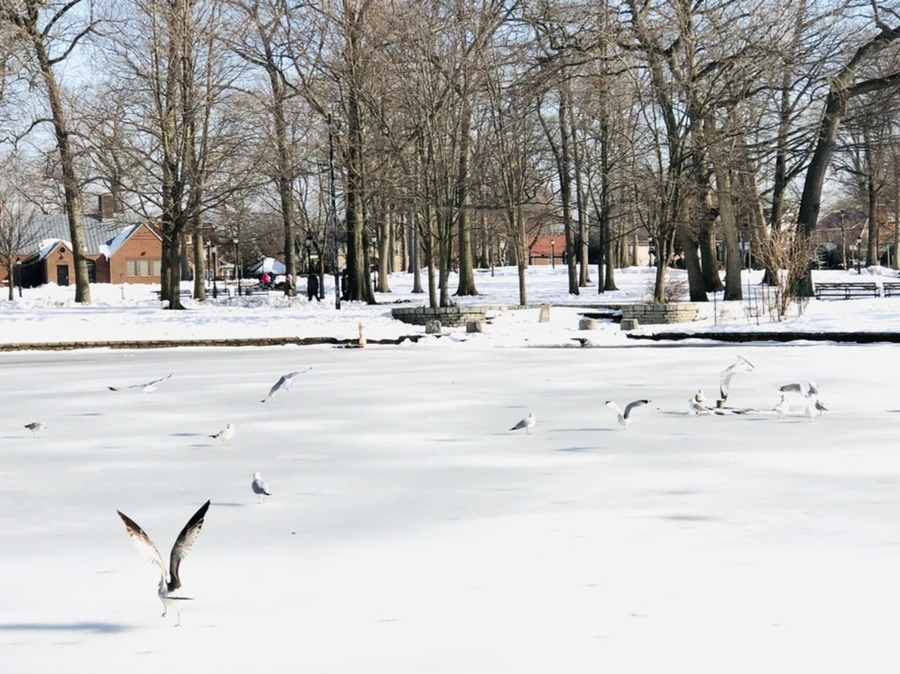 IMG_0198.jpg?type=w966