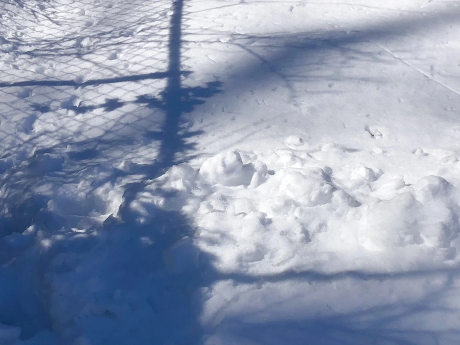 IMG_4003.jpg?type=w966