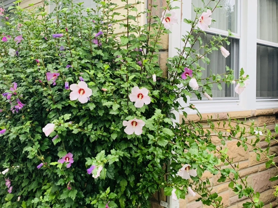 IMG_3643.jpg?type=w966