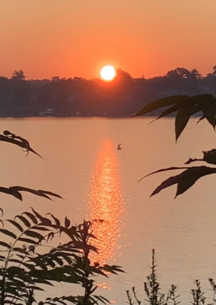 IMG_7186.jpg?type=w966