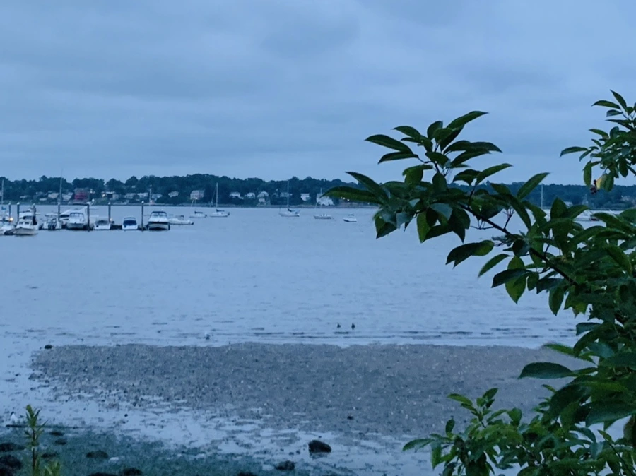 IMG_6743.jpg?type=w966