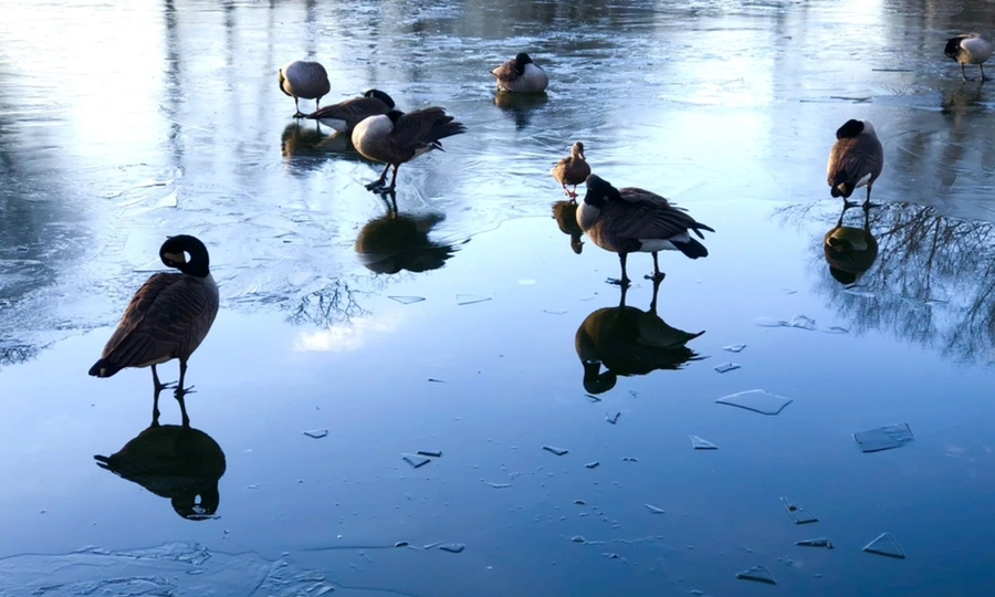 IMG_4949.jpg?type=w966