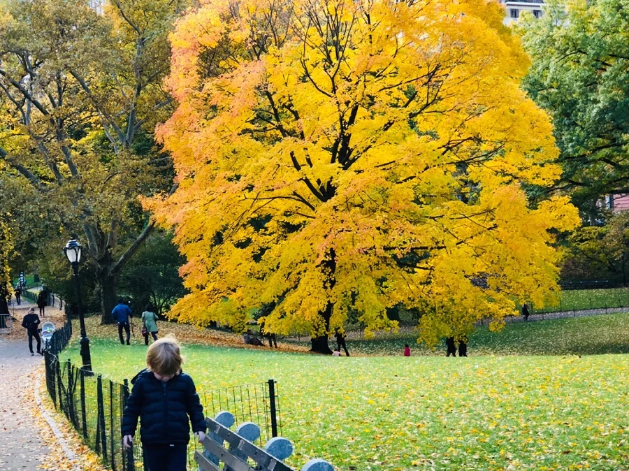 IMG_7348.jpg?type=w966