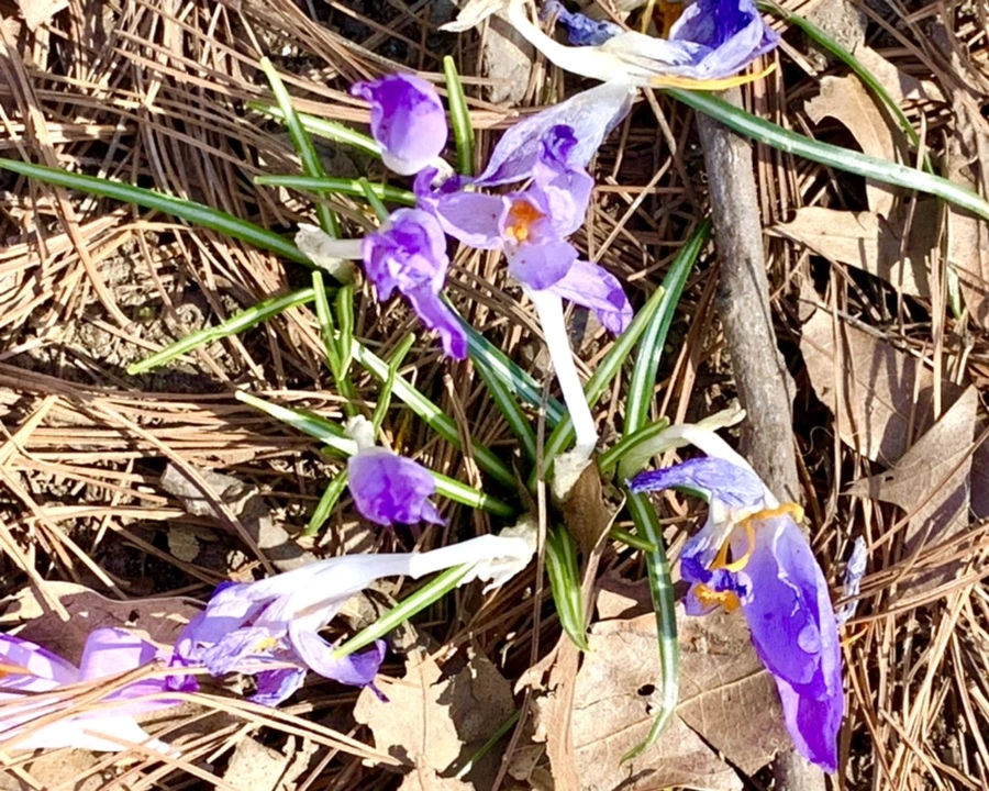 IMG_1456.jpg?type=w966