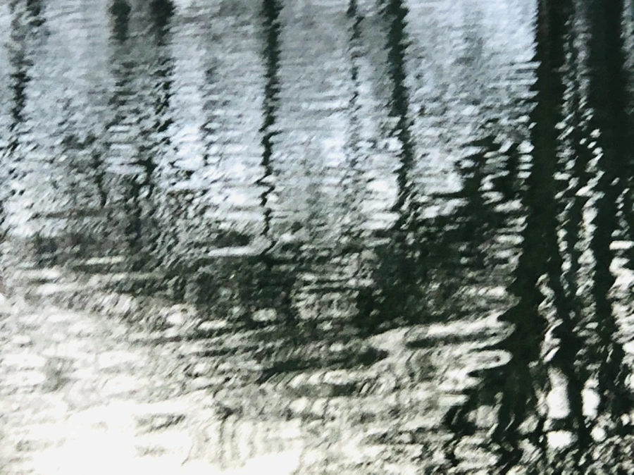 IMG_9133.jpg?type=w966