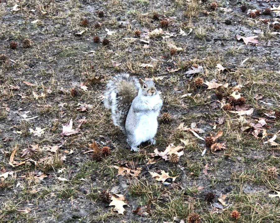 IMG_9494.jpg?type=w966