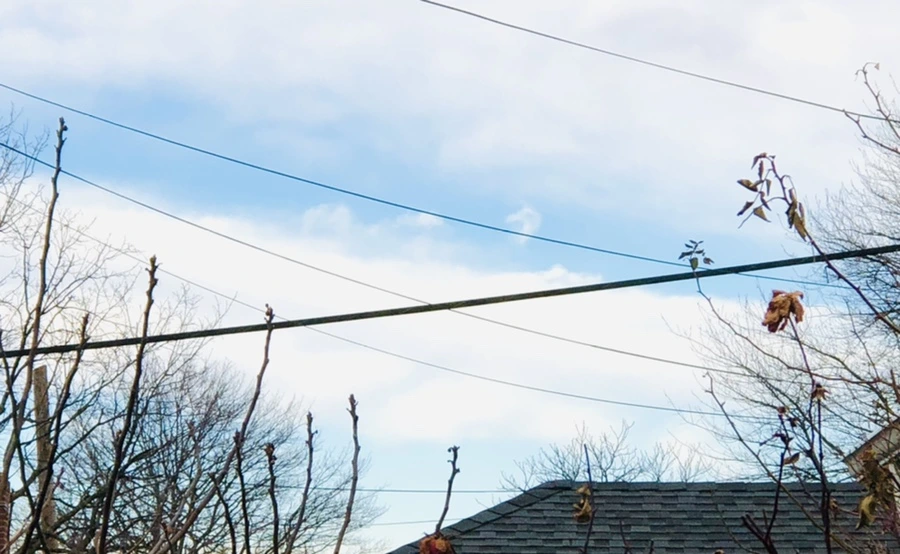 IMG_1052.jpg?type=w966