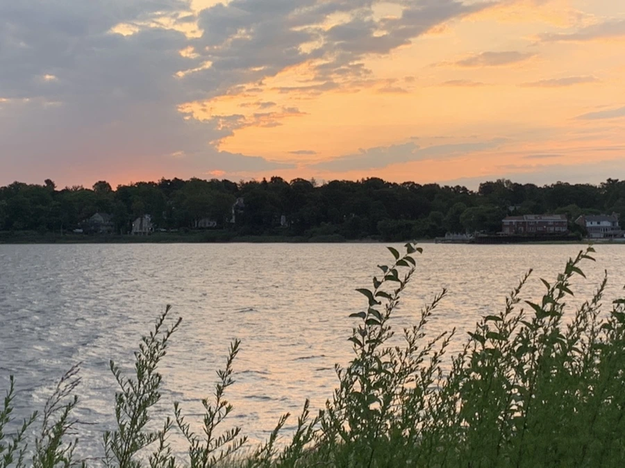 IMG_1697.jpg?type=w966