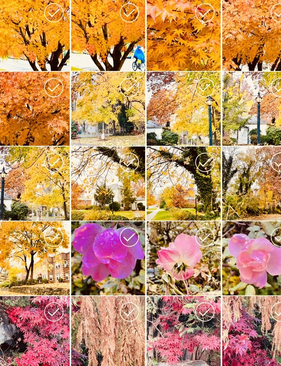 IMG_4955.jpg?type=w966