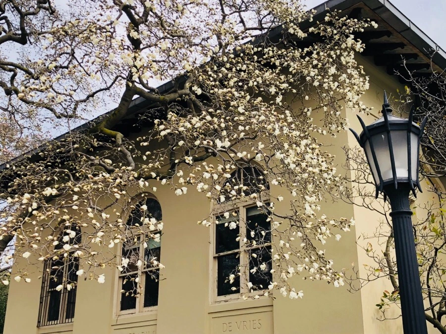 IMG_3836.jpg?type=w966