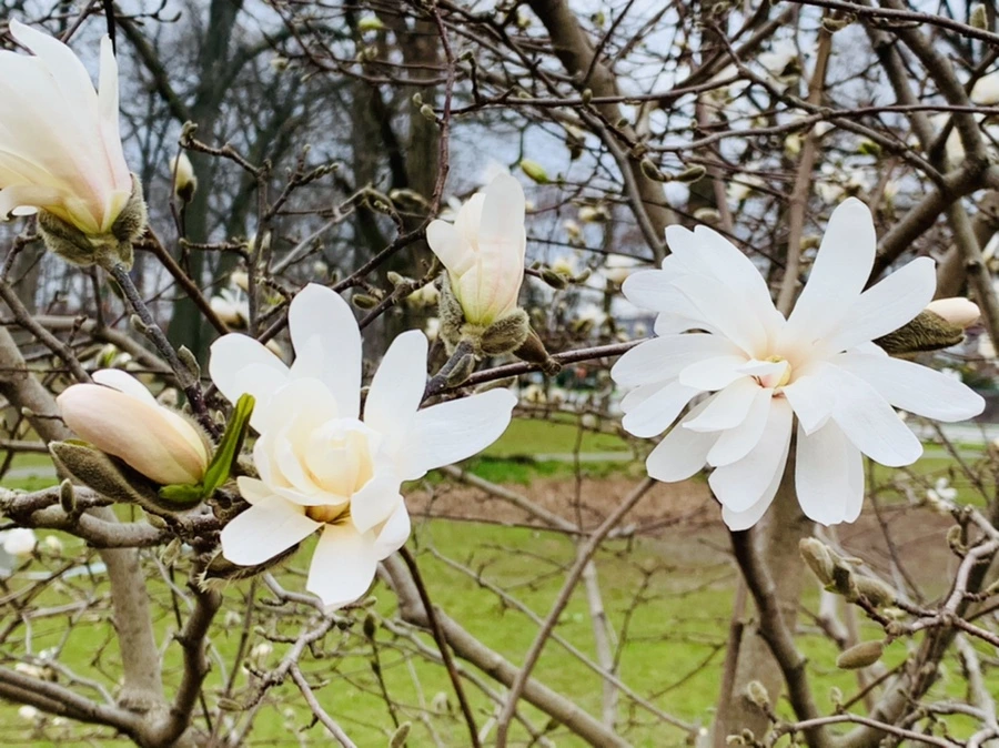 IMG_6019.jpg?type=w966